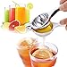 E-PRANCE Lemon Squeezer - Lemon Lime Juicer Citrus Squeezer Hand Press with High Strength and Heavy Duty Design, Press Juice from Fruit or Vegetables, Silver