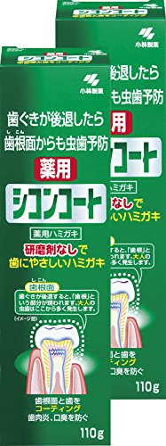 薬用シコンコート 【まとめ買い】シコンコート 研磨剤無しで歯にやさしい 薬用ハミガキ ミントの香り 虫歯予防 110g×2個【医薬部外品】商品画像