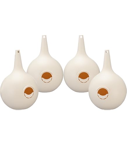 Amazon.com: Wild Bird Lover's Two-Piece Martin Gourds, Pack of 4