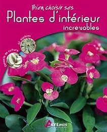 Plantes d'intérieur increvables