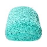 CaliTime Super Soft Blanket Throw, Modern Cozy Plush Warm Faux Fur 60 X 80 Inches, Turquoise