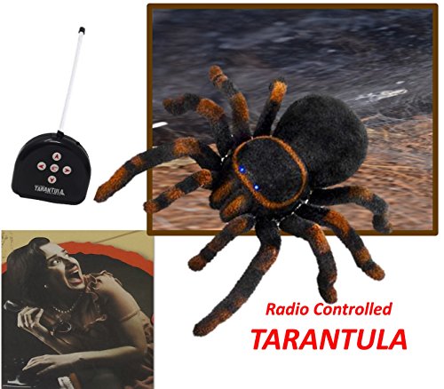 Play kreative remote control tarantula spider toy - hal…