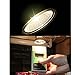 Sun Lamp Reptile Heat Lamp UVA + UVB Full Spectrum Sun Lamp Sunbathe Reptile Lizard Lamp UV Heating Lamp (Small, Sliver)