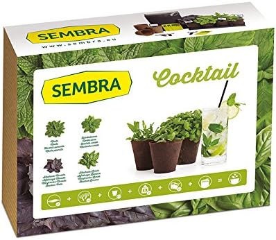 Sembra Big Kit Cultivo, 25.5x33.5x9 cm: Amazon.es: Jardín