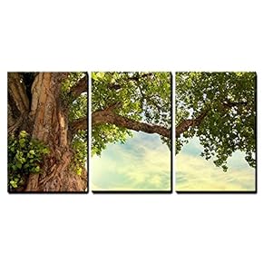 3 Piece Canvas Wall Art - Spring Meadow with Big Tree with Fresh Green Leaves - Modern Home Art Stretched and Framed Ready to Hang - 16"x24"x3 Panels