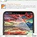 IQShield Matte Full Body Skin Compatible with Samsung Galaxy Note 10+ Plus (Note 10+ 5G, 6.8 inch Display) + Anti-Glare (Full Coverage) Screen Protector and Anti-Bubble TPU Film