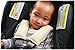 DorDor & GorGor Organic Baby Seat Belt Cushion, Extra Plush, 100% Cotton (Pink Striped)