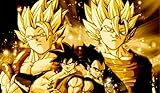 Dragonball Z Vegito Gogeta TCG playmat, gamemat 24