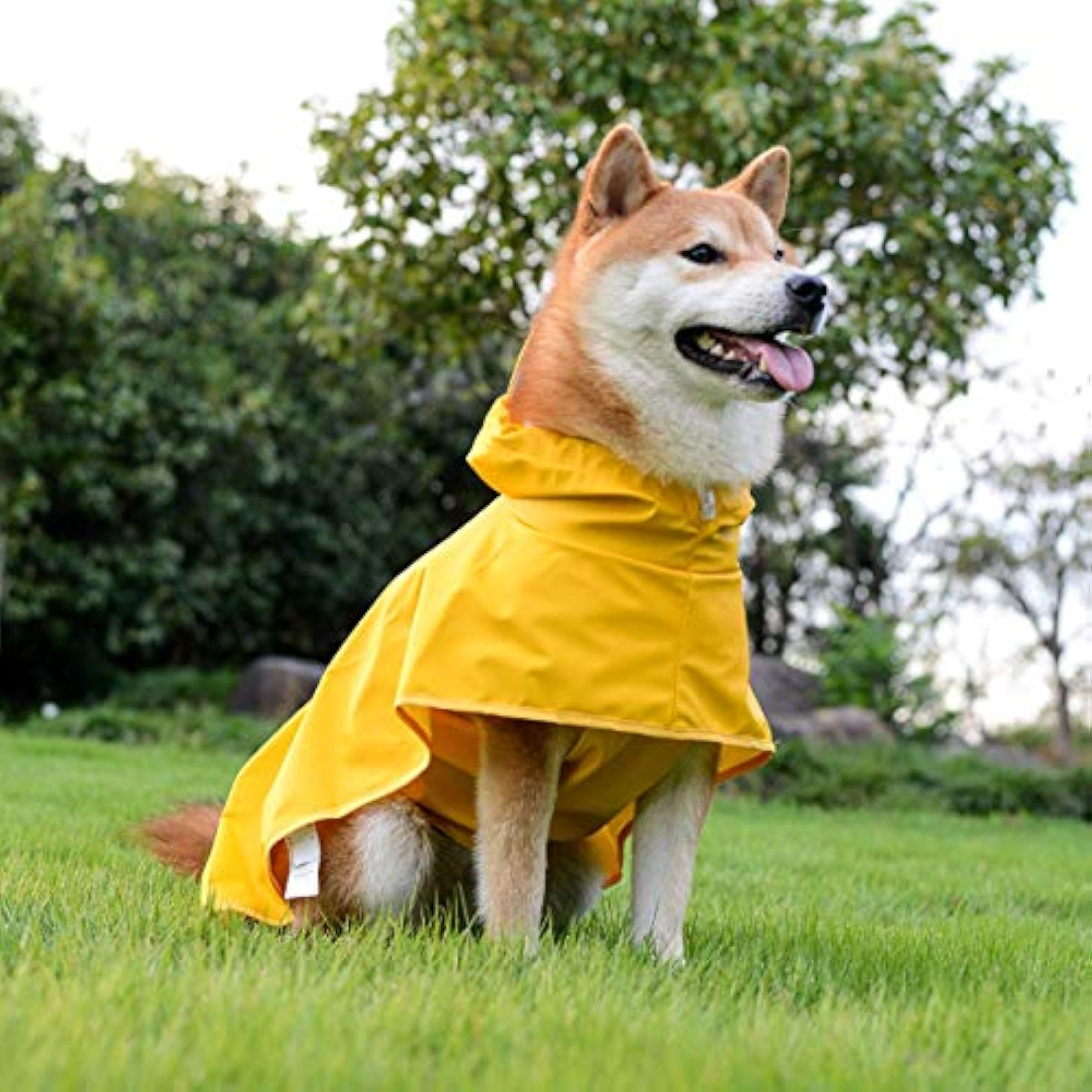 Yellow Dog Raincoat Puppy Waterproof Jacket With Hood & Leash Hole Transparent