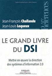 Le  grand livre du DSI