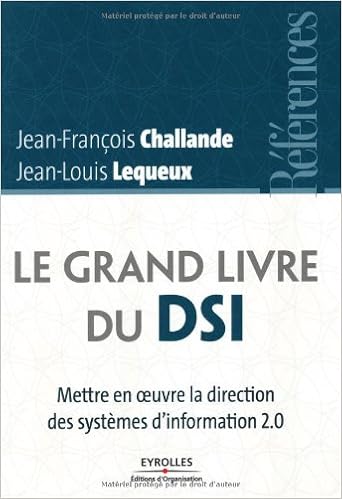 Image result for Le grand livre du DSI Metre en œuvre la direction SI 2.0