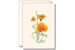 Earth Sky + Water - California Poppy Notecard Set - 8 Blank Cards with Envelopes