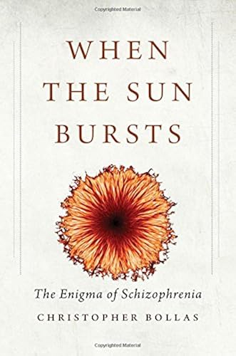 Download When the Sun Bursts – The Enigma of Schizophrenia PDF