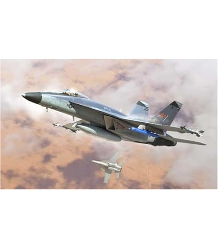 Amazon.com: Hasegawa 07238 1/48 F/A-18F Super Hornet : Arts