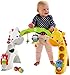 Fisher-Price Newborn-to-Toddler Play Gym, Rainforest