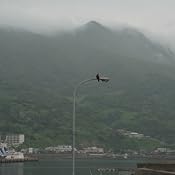 カスタマー画像