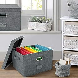 JSungo File Box with 5 Hanging Filing