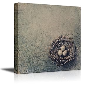 Canvas Prints Wall Art - Bird Nest with Eggs on Dry Desert Ground. | Modern Wall Decor/Home Decoration Stretched Gallery Canvas Wrap Giclee Print. Ready to Hang - 12" x 12"