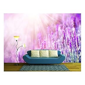 Lavender - Removable Wall Mural | Self-Adhesive Large Wallpaper - 66x96 inches