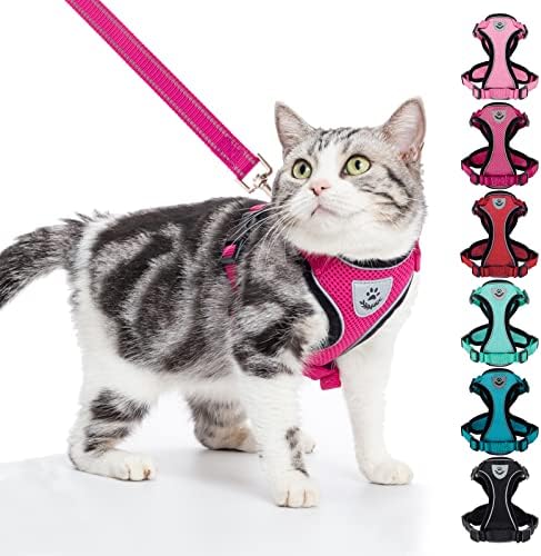 medium cat harness