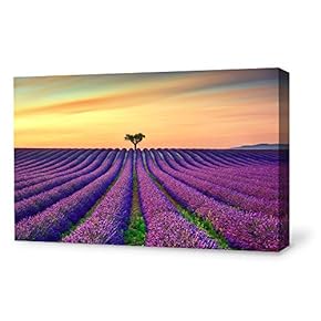 Canvas Wall Art for Living Room,Bedroom Home Artwork Paintings Romantic Lavender Ready to Hang - 12x18 inches