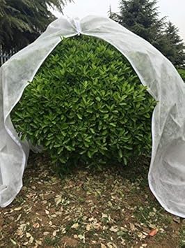UniEco 365x365cm 30g/m² Winterschutz für Pflanzen Kübelpflanzensack Frostschutzhaube Frostschutzvlies beige super Stark mit R