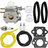 Hipa WT-973 Carburetor + Tune Up Kit Air Filter for MTD Remington RM2510 RM2520 RM2560 RM2570 RM2599 Murray M2500 M2510 M2550 H2500 String Trimmer Brushcutter