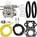 Hipa WT-973 Carburetor + Tune Up Kit Air Filter for MTD Remington RM2510 RM2520 RM2560 RM2570 RM2599 Murray M2500 M2510 M2550 H2500 String Trimmer Brushcutter primary