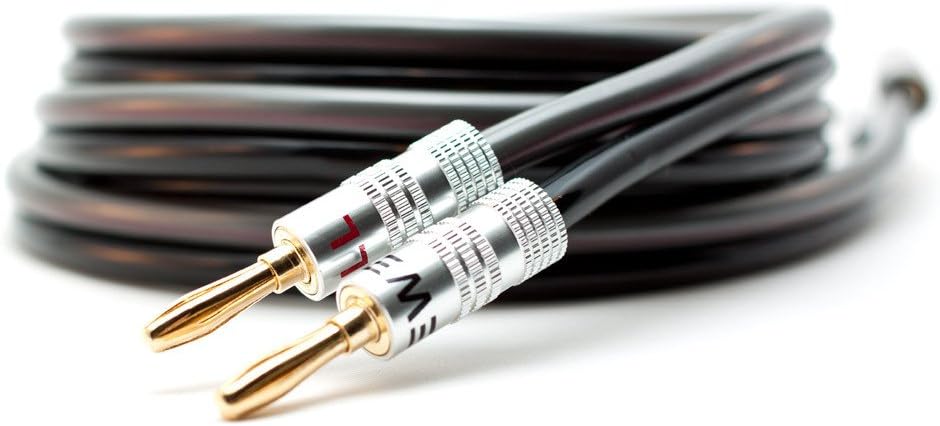 Silverback 12 AWG 259 Strand Speaker Wire with Banana Plugs, 6 Feet: Home Audio & Theater