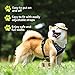 rabbitgoo Adjustable Dog Harness No Pull Reflective Vest with Handle High Visibility Reinforced Straps Easy Control Harness (Large, Black)