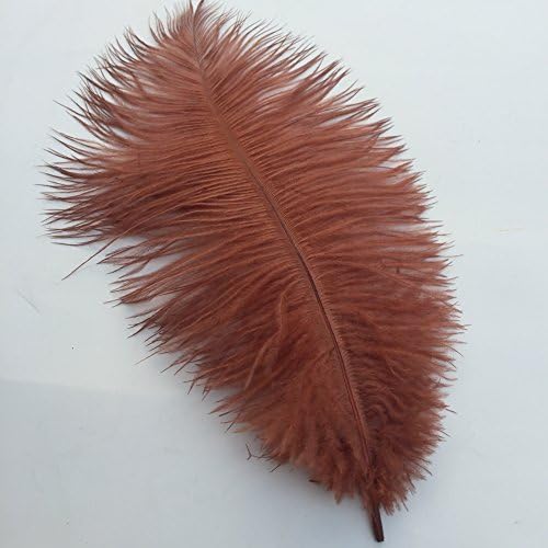 Shekyeon 12-14inch 30-35cm Natural Ostrich Feathers Wedding Party Decoration Pack of 10(Brown)