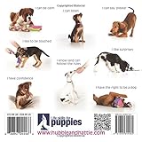 Image de Life Skills for Puppies: Laying the Foundation for a Loving, Lasting Relationship