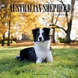 Australian Shepherd Calendar 2017: 16 Month Calendar