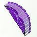 Besra Huge 102inch Dual Line Parachute Stunt Kite with Flying Tools 2.6m Power Parafoil Kites Outdoor Fun Sports for Beach & Park (102inch Purple)