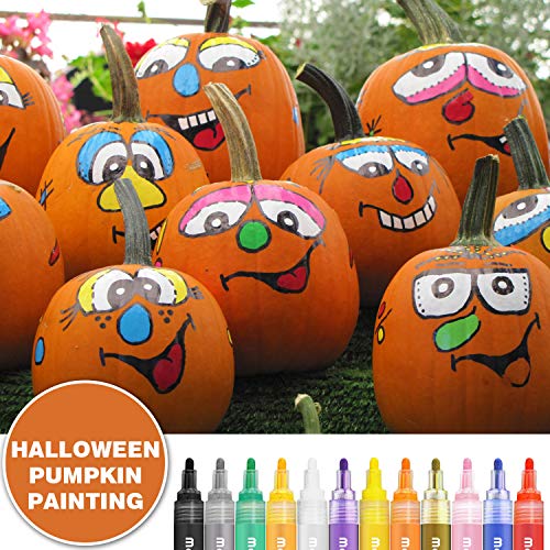 Morfone Acrylic Paint Marker Pens, Set of 12 Colors Markers Water Based