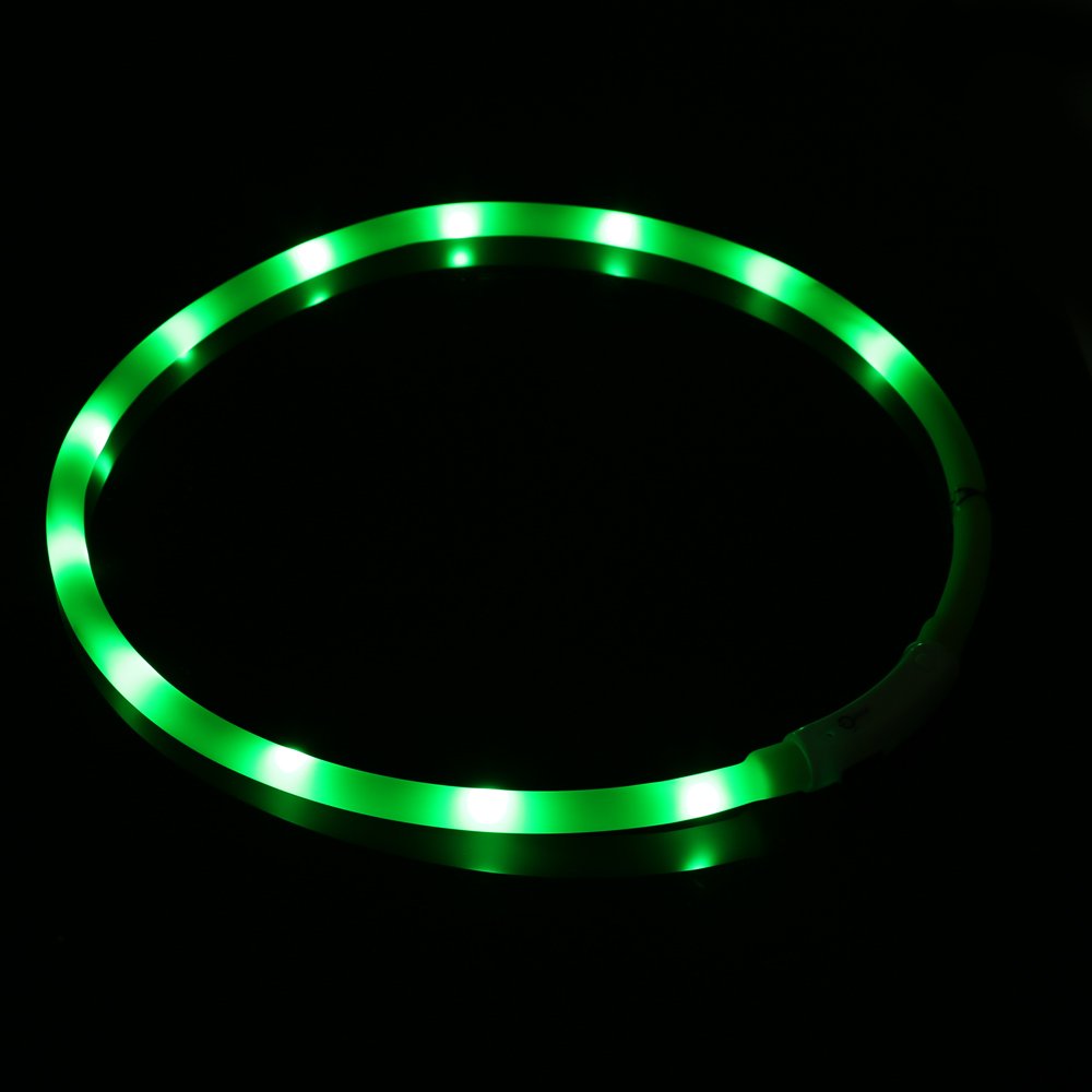 ZOGIN Collar de perro LED, collar de seguridad recargable USB para perro gato y otro animal doméstico, color verde