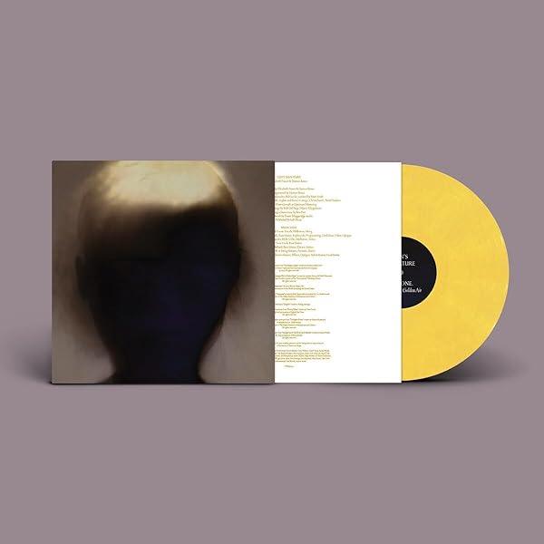 Amazon.com: Sky Ferreira - Night Time, My Time Vinyl, LP: CDs & Vinyl
