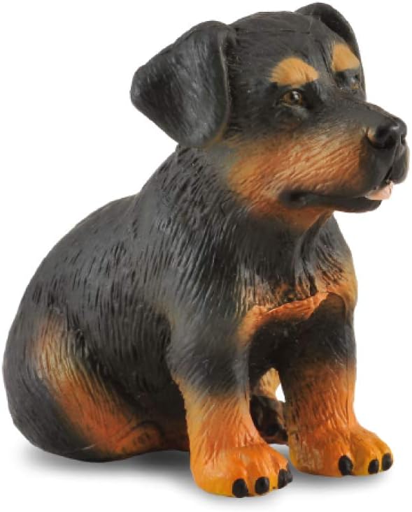 rottweiler puppy toys