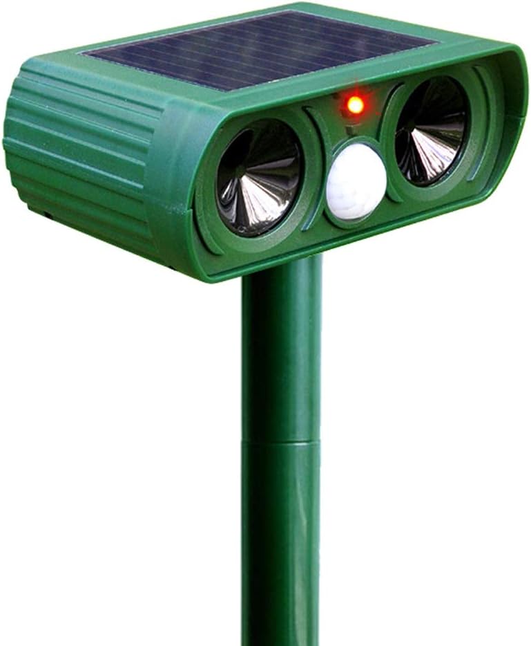 Top 10 Best Garden Cat Deterrents in 2023 Feature Gardens