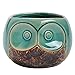 MyGift Small Owl Ceramic Succulent Planter, Flower Pot Vase, Turquoise & Brown