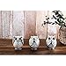 FAMICOZY Owl Figurine with Different Gestures,Cute Owl Statue,Adorable Decoration for Home Office Set of 3,White