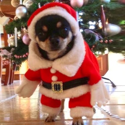 StillCool Hundemantel Hung Winter Jacken Mantel Hundekostüme Weihnachtsengel Flügel Weihnachtsmannkostüm für Hunde