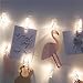 Miaro 40 LED Photo Clips String, Wedding Party Christmas Indoor Home Decor Lights, White