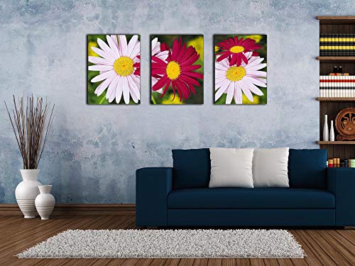 White and Red Daisies Canvas Print for Living Room Chrysanthemum Wall Art Decor Painting Pictures Artwork (12x16inch x3pcs)