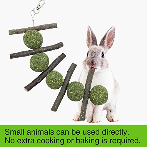 PETLAOO Bunny Chew Toys for Teeth, Improve Dental Health - 100% Natural Organic Apple Sticks - Handmade, Suitable for Rabbits, Chinchillas, Guinea Pigs, Hamsters, Chewing/Playing