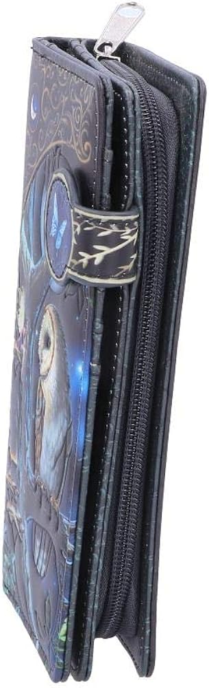 Nemesis Now B4864P9 Lisa Parker Fairy and Owl Purse 18.5cm, PU, Black, One Size - Image 3