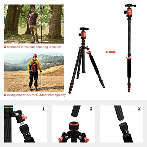 GEEKOTO 79 inches Carbon Fiber Camera Tripod Monopod with 360 Degree