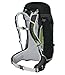 Osprey Packs Stratos 36 Hiking Backpack