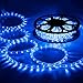 DELight 150ft LED Rope Light Valentines Home Holiday Party Disco Restaurant Cafe Decor 2 Wire 1620pcs Bulbs Blue