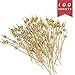 Cocktail Sticks Swizzle Picks for Fruit Sandwiches Barbeque Snacks etc Natural Bamboo Skewers for Coffee Drink Stir Stick 12 CM